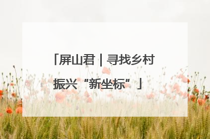 屏山君｜寻找乡村振兴“新坐标”