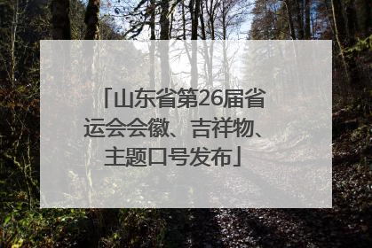 山东省第26届省运会会徽、吉祥物、主题口号发布
