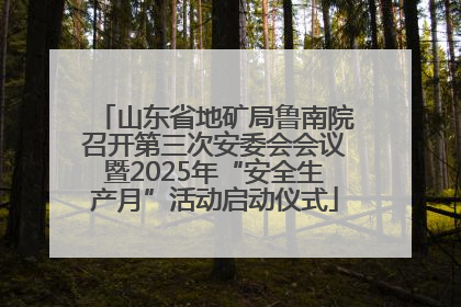 山东省地矿局鲁南院召开第三次安委会会议暨2025年“安全生产月”活动启动仪式