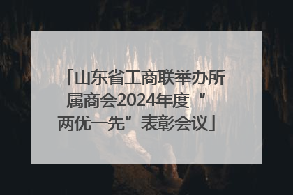山东省工商联举办所属商会2024年度“两优一先”表彰会议