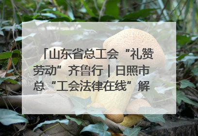 山东省总工会“礼赞劳动”齐鲁行｜日照市总“工会法律在线”解决职工愁“薪”事