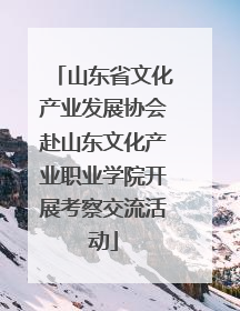 山东省文化产业发展协会赴山东文化产业职业学院开展考察交流活动