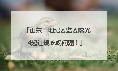 山东一地纪委监委曝光4起违规吃喝问题！