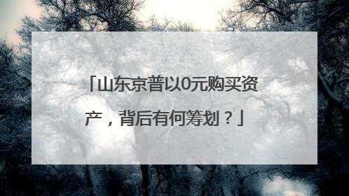 山东京普以0元购买资产，背后有何筹划？