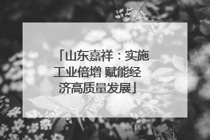 山东嘉祥：实施工业倍增 赋能经济高质量发展