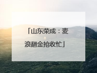 山东荣成：麦浪翻金抢收忙