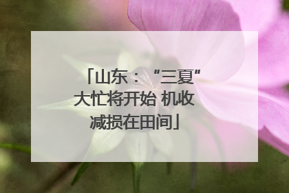 山东：“三夏”大忙将开始 机收减损在田间
