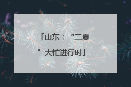 山东：“三夏”大忙进行时