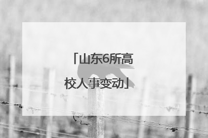 山东6所高校人事变动