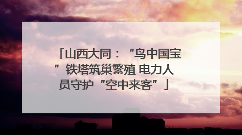山西大同：“鸟中国宝”铁塔筑巢繁殖 电力人员守护“空中来客”
