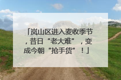 岚山区进入麦收季节，昔日“老大难”，变成今朝“抢手货”！