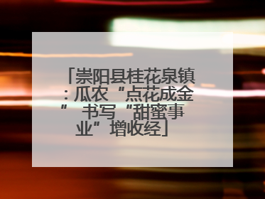 崇阳县桂花泉镇：瓜农“点花成金” 书写“甜蜜事业”增收经