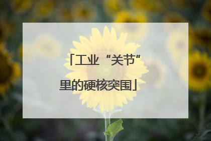 工业“关节”里的硬核突围
