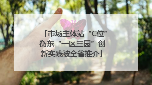 市场主体站“C位” 衡东“一区三园”创新实践被全省推介