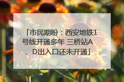 市民期盼：西安地铁1号线开通多年 三桥站A、D出入口还未开通