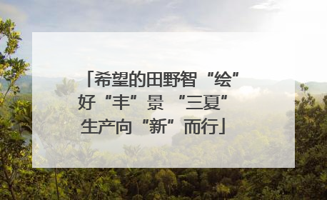 希望的田野智“绘”好“丰”景 “三夏”生产向“新”而行