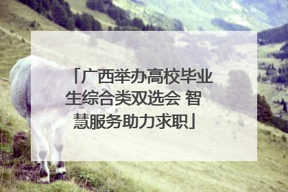 广西举办高校毕业生综合类双选会 智慧服务助力求职