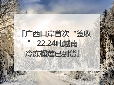 广西口岸首次“签收” 22.24吨越南冷冻榴莲已到货