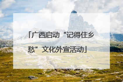 广西启动“记得住乡愁”文化外宣活动