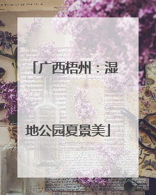 广西梧州：湿地公园夏景美