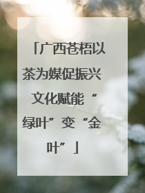 广西苍梧以茶为媒促振兴 文化赋能“绿叶”变“金叶”