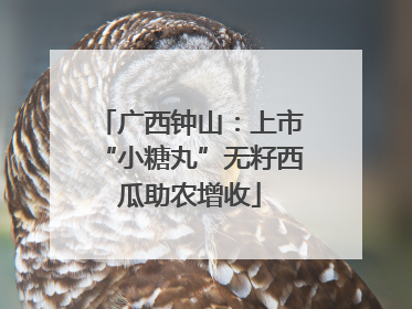 广西钟山：上市“小糖丸”无籽西瓜助农增收