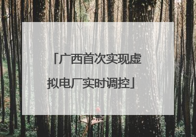 广西首次实现虚拟电厂实时调控