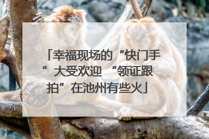 幸福现场的“快门手”大受欢迎 “领证跟拍”在池州有些火