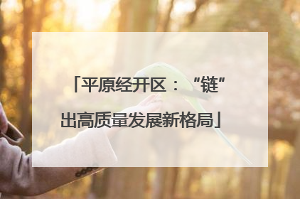 平原经开区：“链”出高质量发展新格局