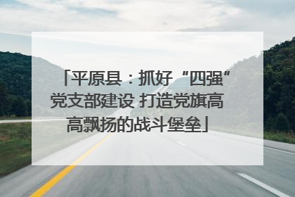 平原县：抓好“四强”党支部建设 打造党旗高高飘扬的战斗堡垒