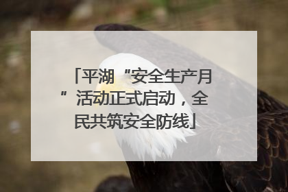 平湖“安全生产月”活动正式启动，全民共筑安全防线