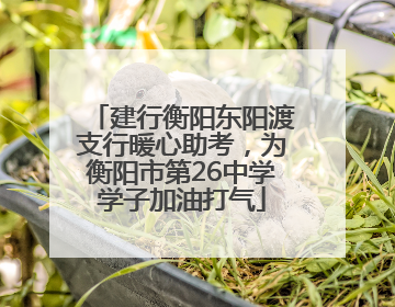 建行衡阳东阳渡支行暖心助考，为衡阳市第26中学学子加油打气