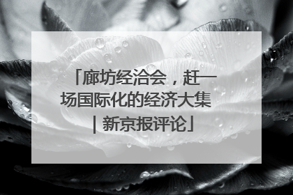 廊坊经洽会，赶一场国际化的经济大集｜新京报评论
