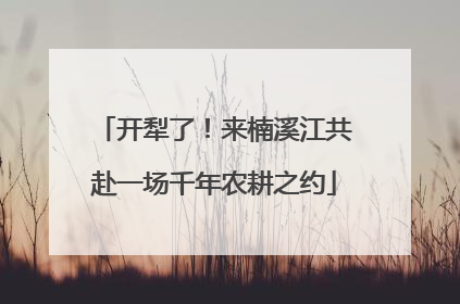 开犁了！来楠溪江共赴一场千年农耕之约