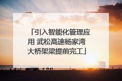 引入智能化管理应用 武松高速杨家湾大桥架梁提前完工