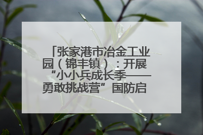 张家港市冶金工业园（锦丰镇）：开展“小小兵成长季——勇敢挑战营”国防启蒙教育活动