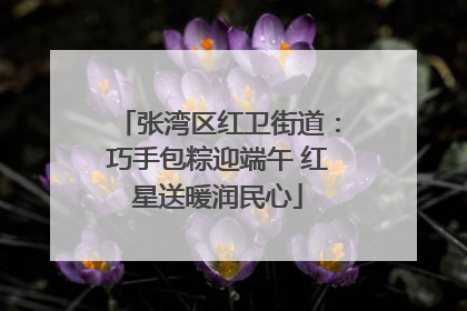 张湾区红卫街道：巧手包粽迎端午 红星送暖润民心