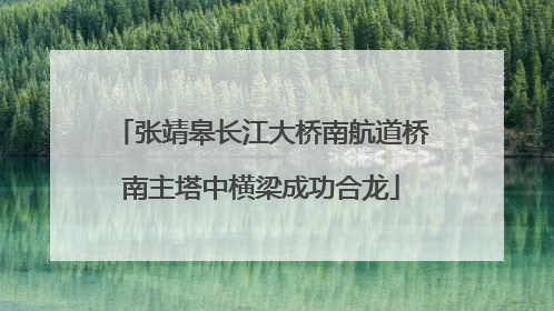张靖皋长江大桥南航道桥南主塔中横梁成功合龙