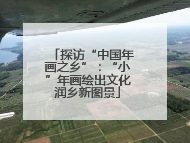探访“中国年画之乡”：“小”年画绘出文化润乡新图景