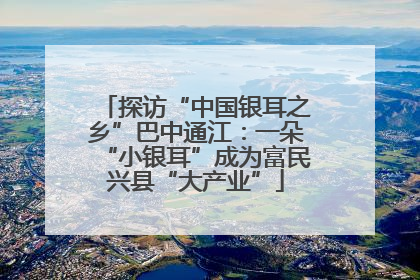 探访“中国银耳之乡”巴中通江：一朵“小银耳”成为富民兴县“大产业”