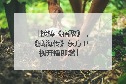 接棒《宿敌》，《藏海传》东方卫视开播即燃