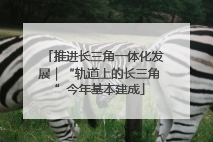 推进长三角一体化发展｜“轨道上的长三角”今年基本建成