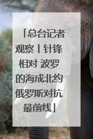 总台记者观察丨针锋相对 波罗的海成北约俄罗斯对抗最前线