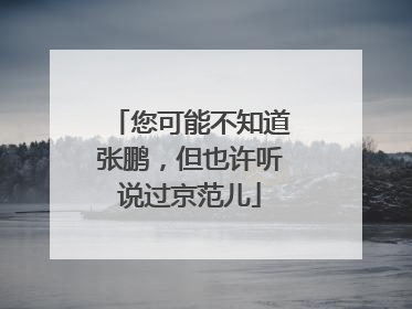 您可能不知道张鹏，但也许听说过京范儿