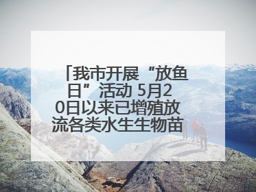 我市开展“放鱼日”活动 5月20日以来已增殖放流各类水生生物苗种5.1亿单位