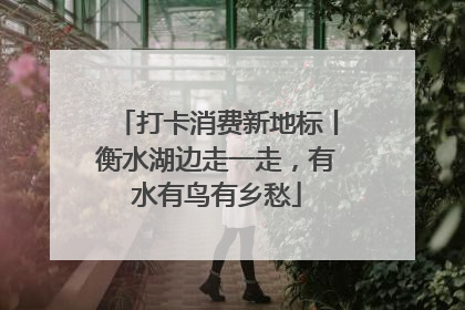 打卡消费新地标丨衡水湖边走一走，有水有鸟有乡愁