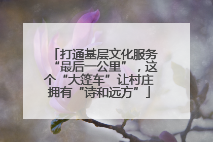 打通基层文化服务“最后一公里”，这个“大篷车”让村庄拥有“诗和远方”