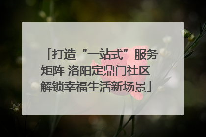打造“一站式”服务矩阵 洛阳定鼎门社区解锁幸福生活新场景