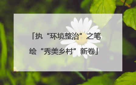 执“环境整治”之笔 绘“秀美乡村”新卷