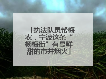 执法队员帮梅农，宁波这条“杨梅街”有最鲜甜的市井烟火
